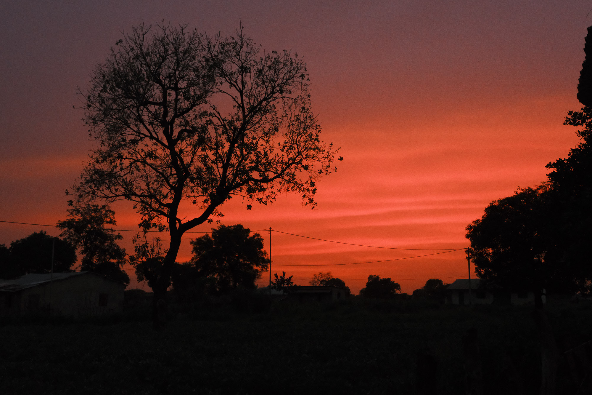 Gambia 19