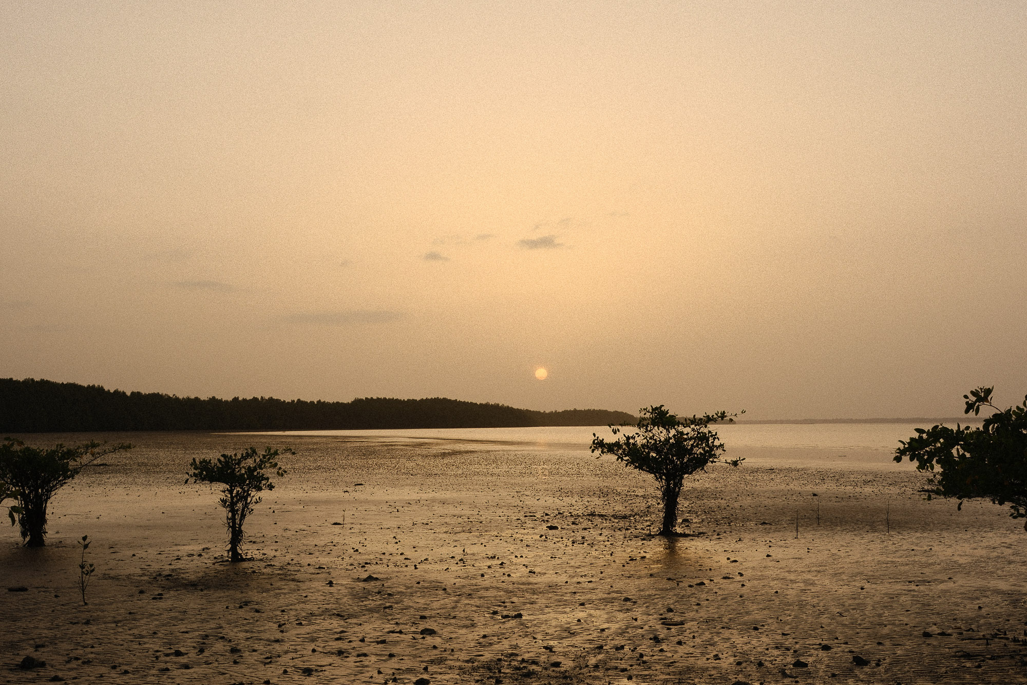 Gambia 23