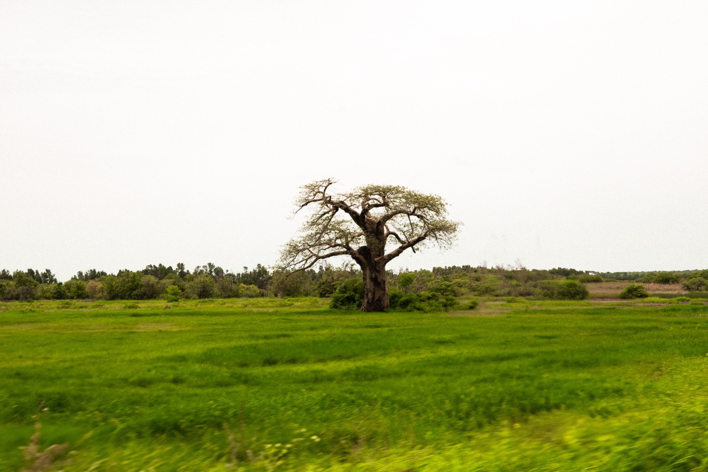 Gambia 29